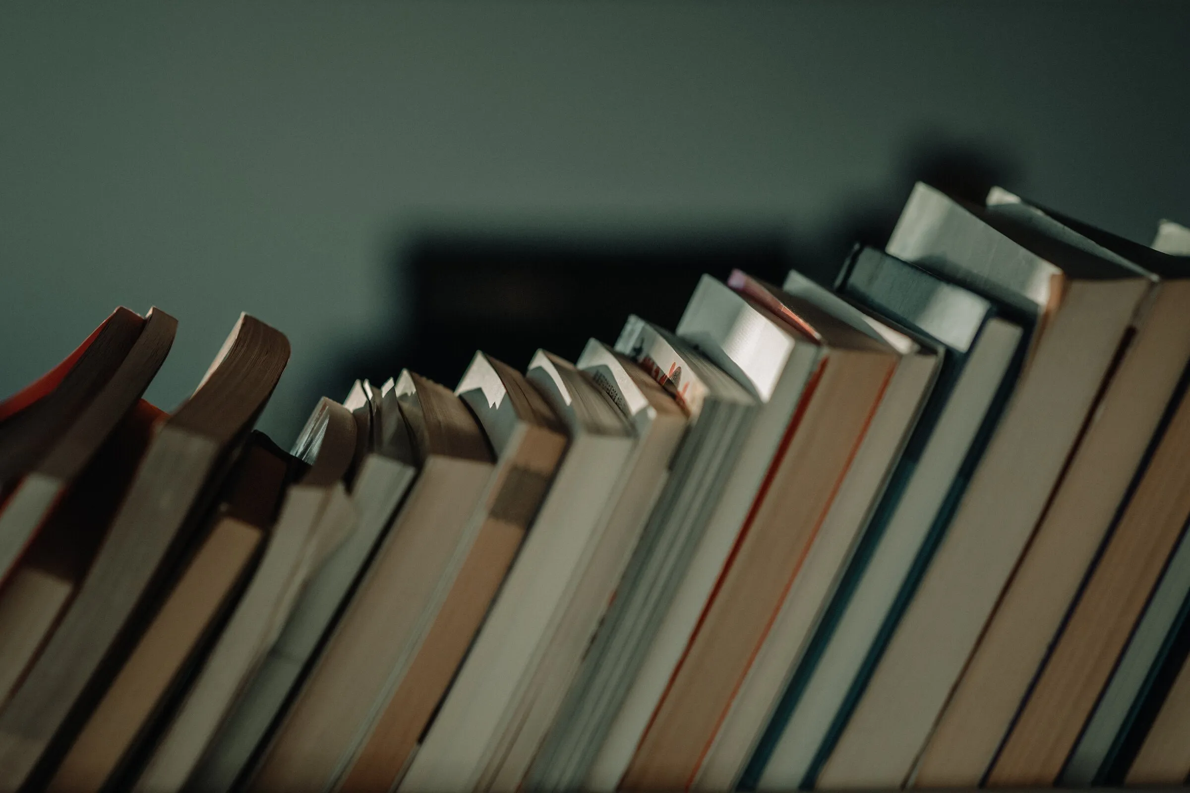 A row of well-read books on a shelf
